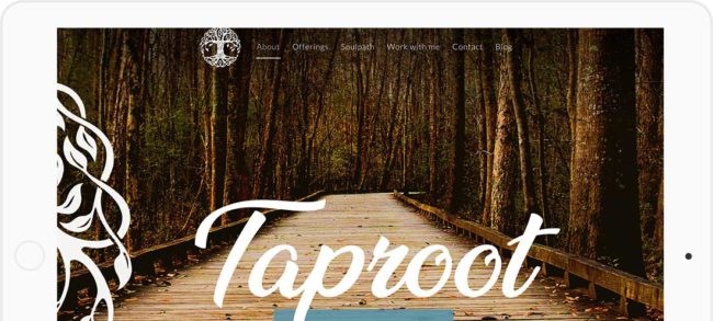 website-design-for-taproot