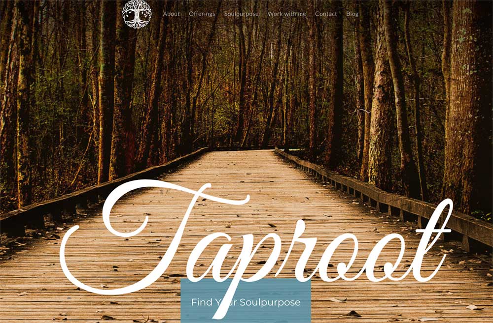 Taproot: soulpurpose