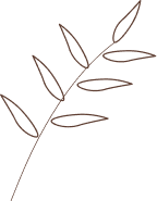 leaves line art