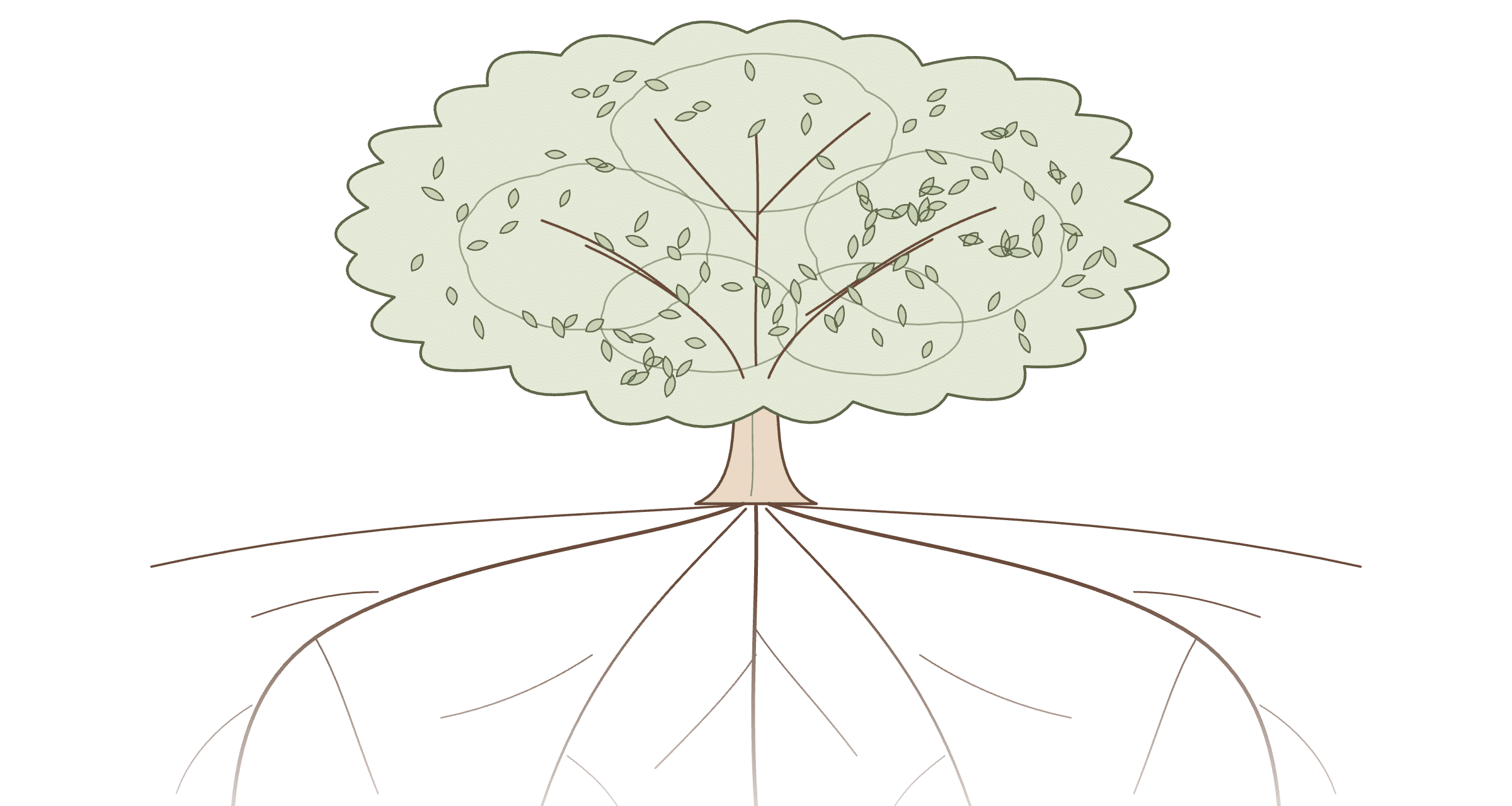 Hand-drawn tree whose roots reach into all three paths